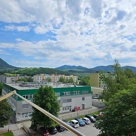 Wolf Apartman Pokojne Ubytovanie V Povazskej Bystrici Ticha Lokalita S Parkovanim Vsade Blizko Vhodne Pre Pracovne Cesty Turistiku Aj Oddych Plne Vybavena Kuchyna Považská Bystrica Extérieur photo