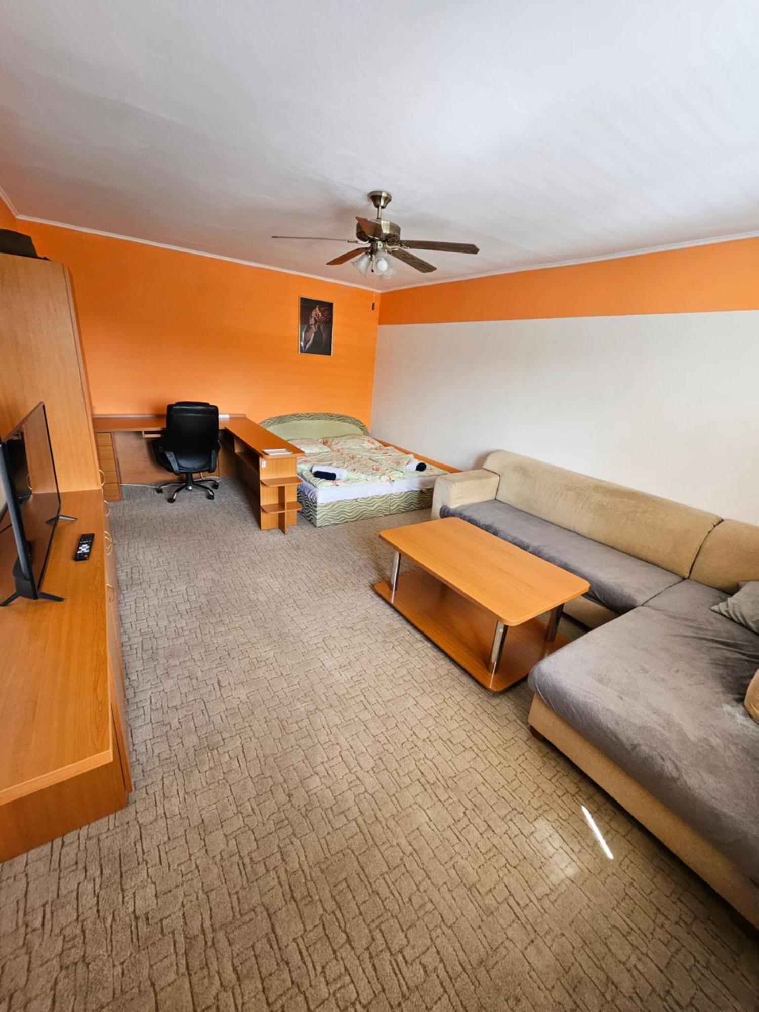 Wolf Apartman Pokojne Ubytovanie V Povazskej Bystrici Ticha Lokalita S Parkovanim Vsade Blizko Vhodne Pre Pracovne Cesty Turistiku Aj Oddych Plne Vybavena Kuchyna Považská Bystrica Extérieur photo
